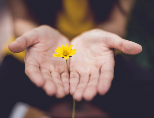 Trauma, ACE’s & Therapeutic Interventions:  Building Trauma-Informed Schools
